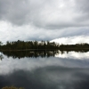 Bilder från Älgsjön