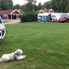 Bilder från Linneryds Camping