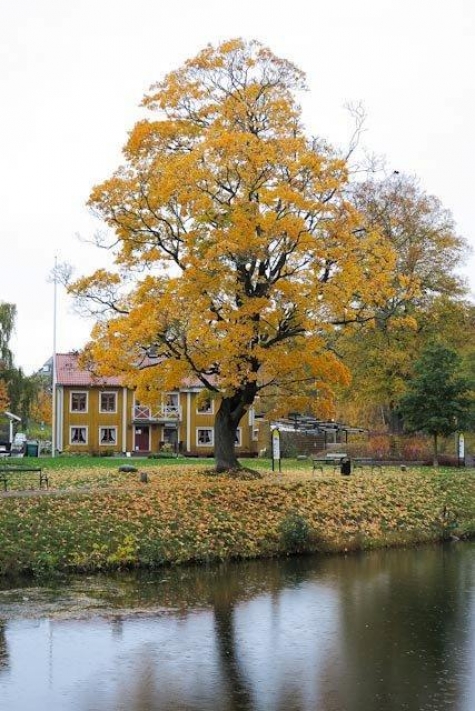 Wendelas Hebbes Hus