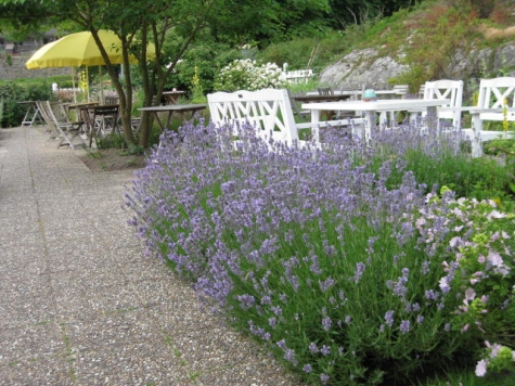 Fiskebäcks isverks kafe