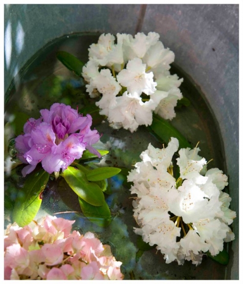 Strandflickornas Havshotell