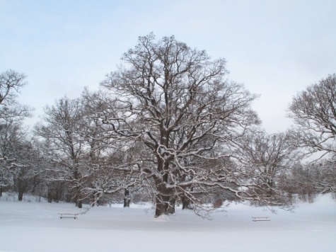 EkoButiken Cafe och Restaurang i Danderyd