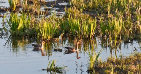 Västerås Stadsbibliotek