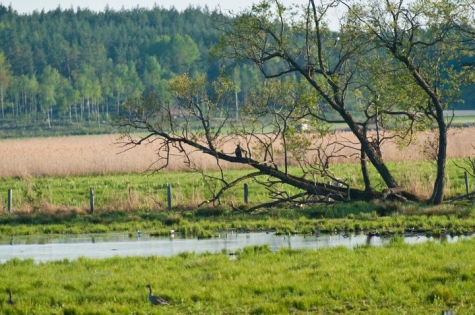 Västerås Stadsbibliotek