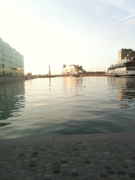 Barista Fair Trade Coffee