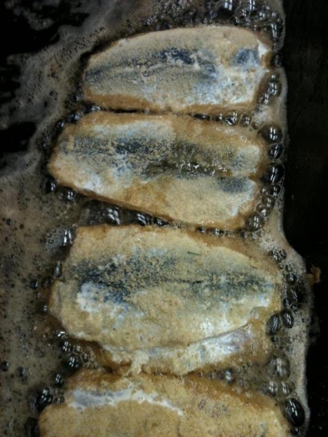 Nimbus Öckerö Vandrarhem