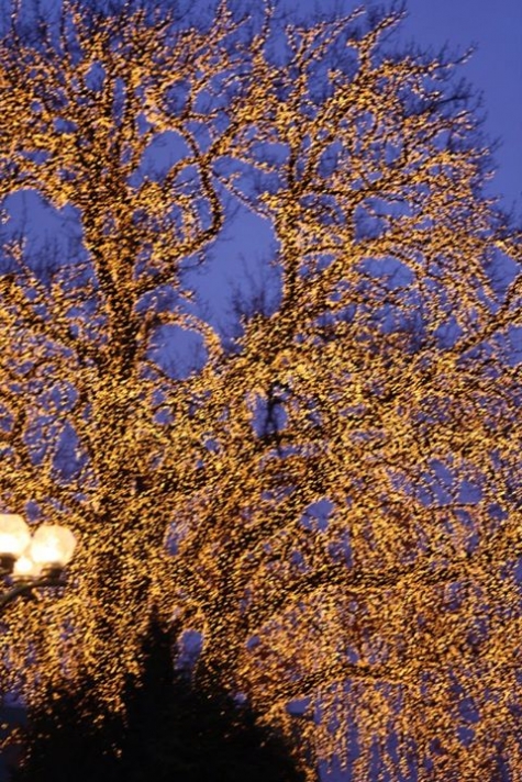 Huvudrestaurangen , Liseberg