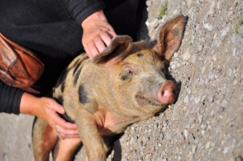 Restauragn och Kafé Ångkvarnen - Kalmar Läns Museum