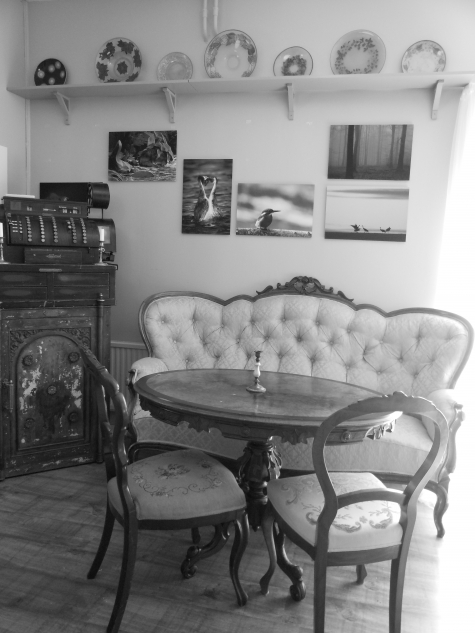 Eldtomta Café och Butik