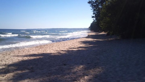 Eldtomta Café och Butik