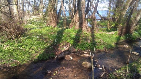 Eldtomta Café och Butik