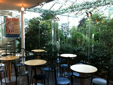 Edvard Andersons Växthuscafé