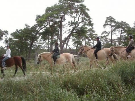 STF Ire, Ihre Gård Vandrarhem och Café