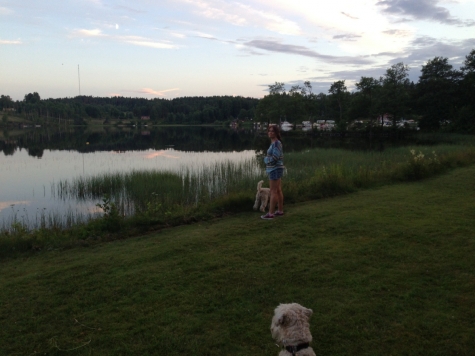 Nössemarks Camping - Café - Gästhamn