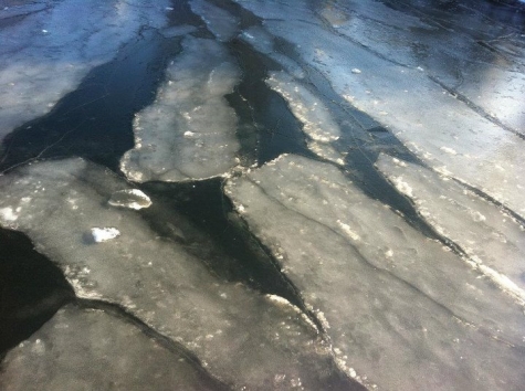 Hembygdsgårdens Café