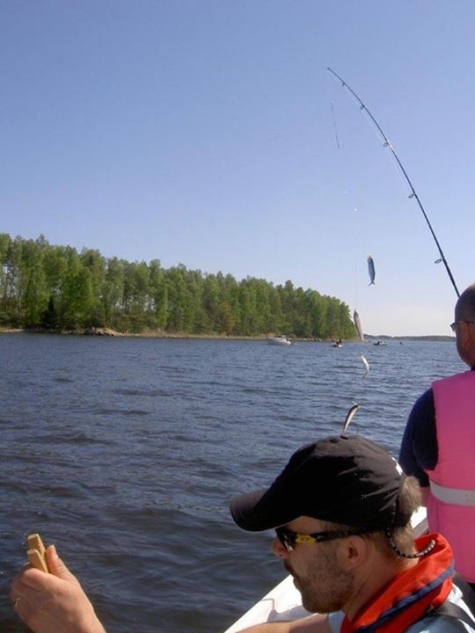 Ankargården i Öregrund