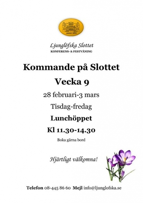 Ljunglöfska Slottet