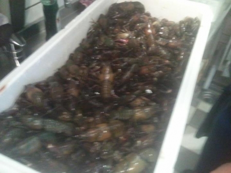 Fiskmagasinet Restaurang och Butik