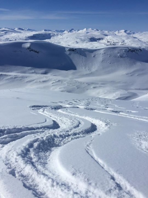 Abisko Mountain Lodge
