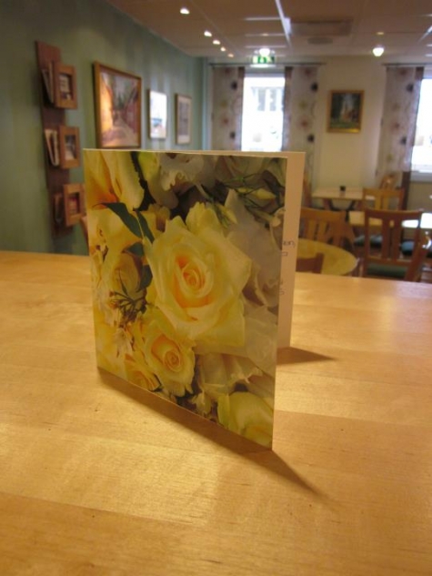 STF Linköping Vandrarhem, Linköpings City Hotell