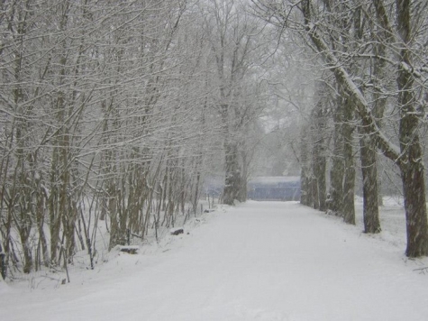 Nygårds Herrgård Bed & Breakfast