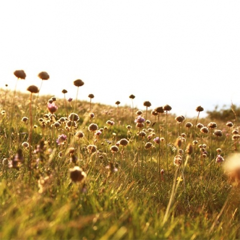 StrandNära Eco Hostel Bed & Breakfast