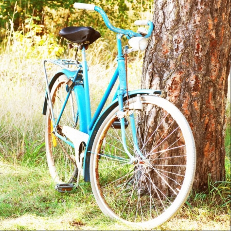 StrandNära Eco Hostel Bed & Breakfast