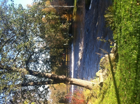 Café Bergsmansgården  Lunedet
