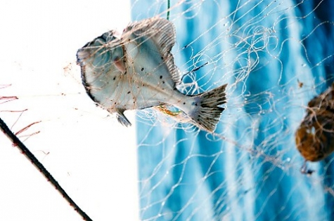 Ålabodarnas Hamnkrog