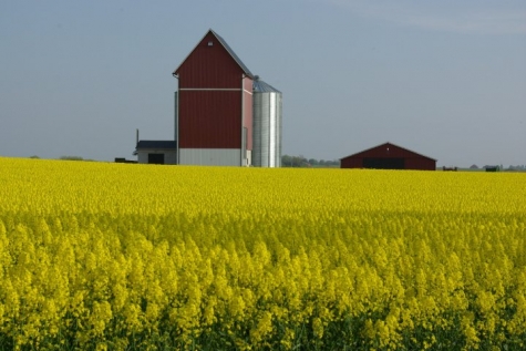 Håslöv Bed and Breakfast