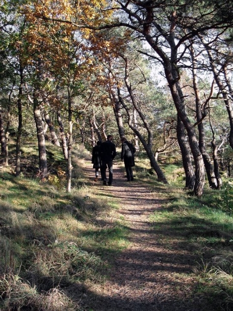 Nordiska Folkhögskolan Hostel