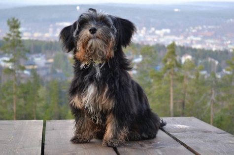 Södra Bergets Vandrarhem