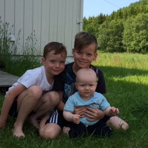 Vivstavarvstjärns Vandrarhem