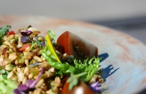 Hornuddens trädgård