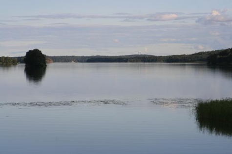 Hornuddens trädgård