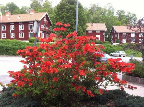 STF Överum Vandrarhem och Hotell