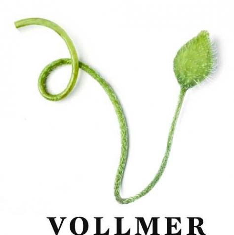 Vollmers