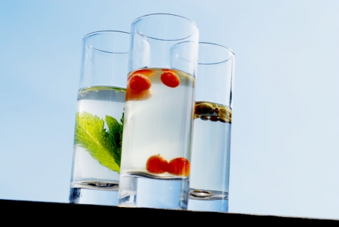 Skansholmens Sjökrog