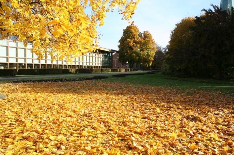 Linköping Stadsbibliotek