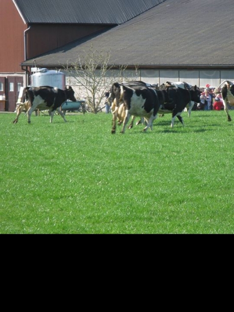 Lilla Edets Bibliotek