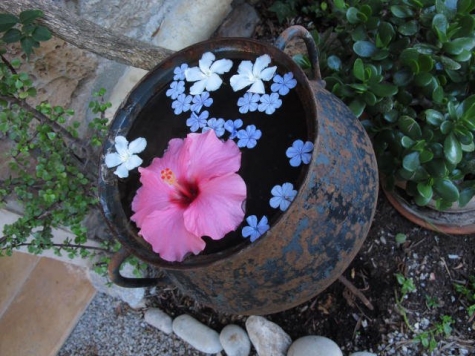 In My Garden B&B