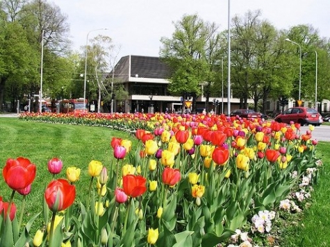 Stadsbiblioteket i Norrköping