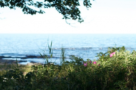 STF Brantevik Råkulle Vandrarhem