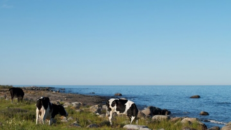 STF Brantevik Råkulle Vandrarhem