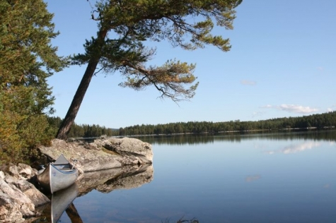 Hällefors Vandrarhem Älghornet