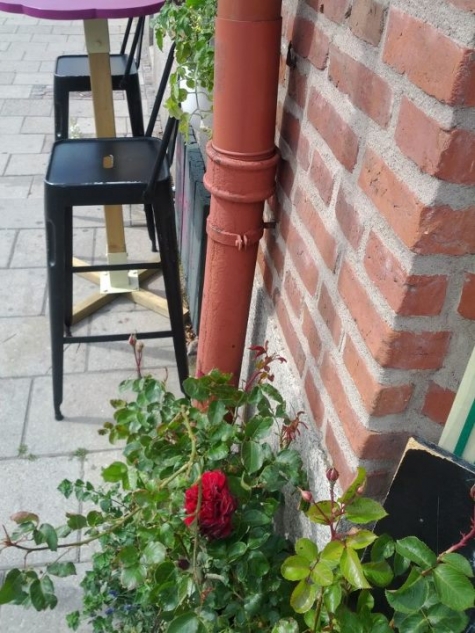 Green Queen - Fik och Butik