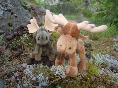 Stora Skälhems Vandrarhus