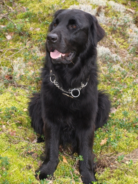 Stora Skälhems Vandrarhus