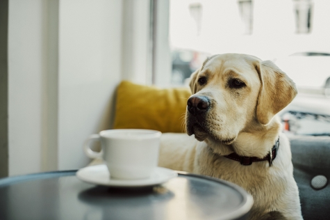 Johan & Nyström (J&N at work)