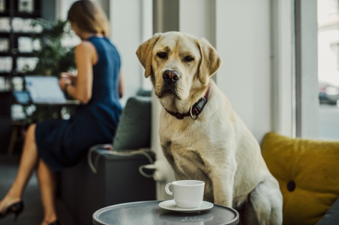 Johan & Nyström (J&N at work)